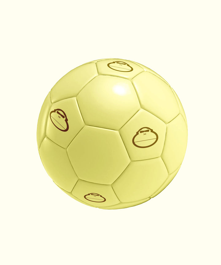 Size 5 Soccer Ball